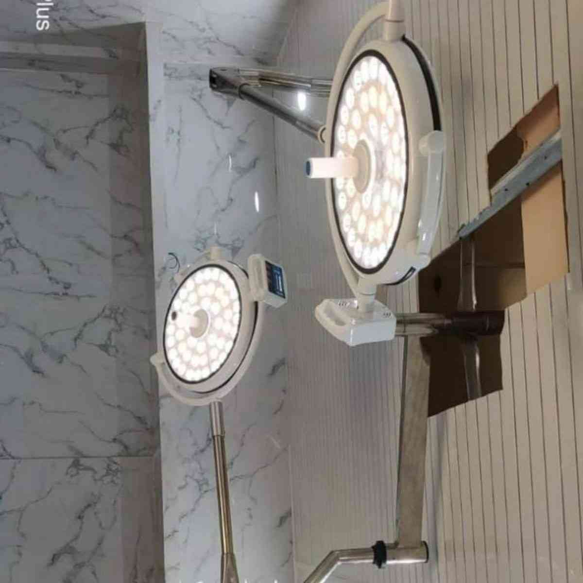 palak-gallery