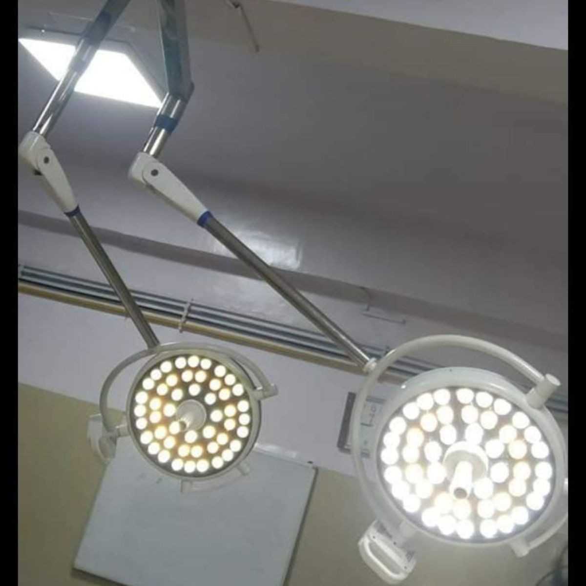 palak-gallery